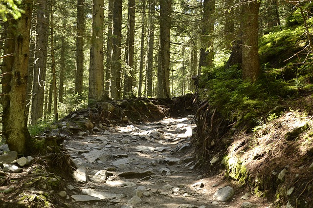 Zakopane to miasto turystyczne które nie trzeba nikomu przedstawiać